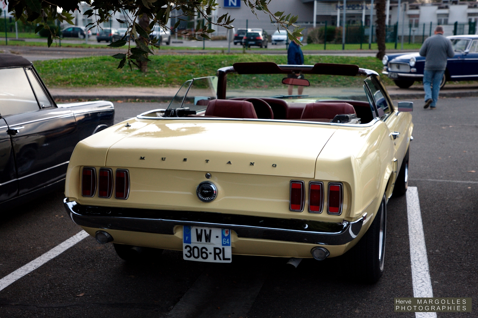 Ford Mustang.jpg